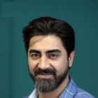 Mohammadreza Alimardani