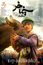 Cinema Donkey