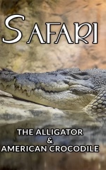 دانلود فیلم سافاری: تمساح و کروکودیل آمریکایی 1996 Safari: The Alligator & American Crocodile