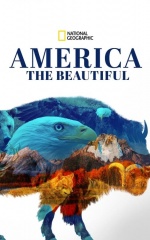 دانلود سریال آمریکای زیبا 2022 America the Beautiful