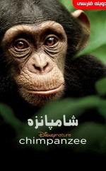 دانلود فیلم شامپانزه 2012 Chimpanzee