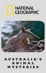 دانلود فیلم اسرار جانوران استرالیا 1984 Australia's Animal Mysteries