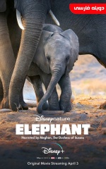 دانلود فیلم فیل 2020 Elephant