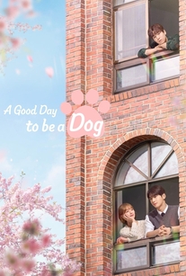 دانلود رایگان سریال کره ای یک روز خوب برای سگ بودن (A Good Day to Be a Dog 2023) کمدی، عاشقانه، فانتزی، درام دوبله فارسی با لینک مستقیم