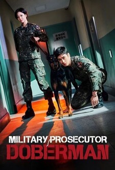 پخش فیلم