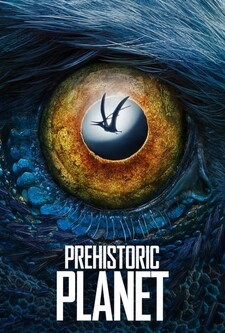 پخش فیلم