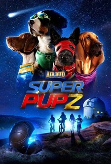 پخش فیلم