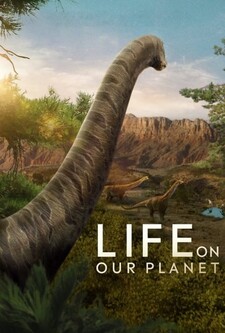 پخش فیلم