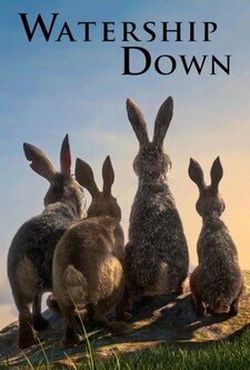 پخش فیلم