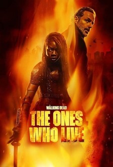 پخش فیلم