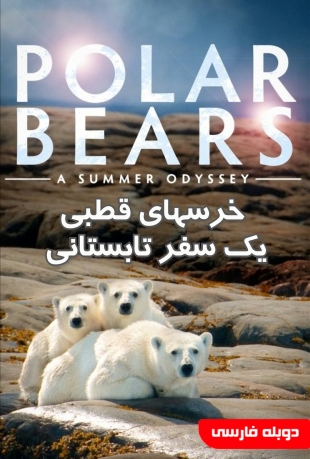 خرسهای قطبی : یک سفر تابستانی