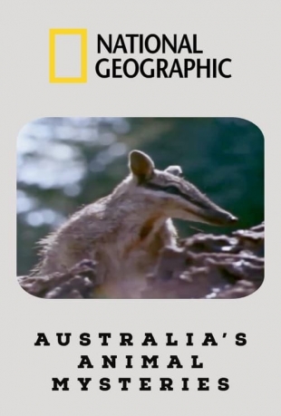 اسرار جانوران استرالیا