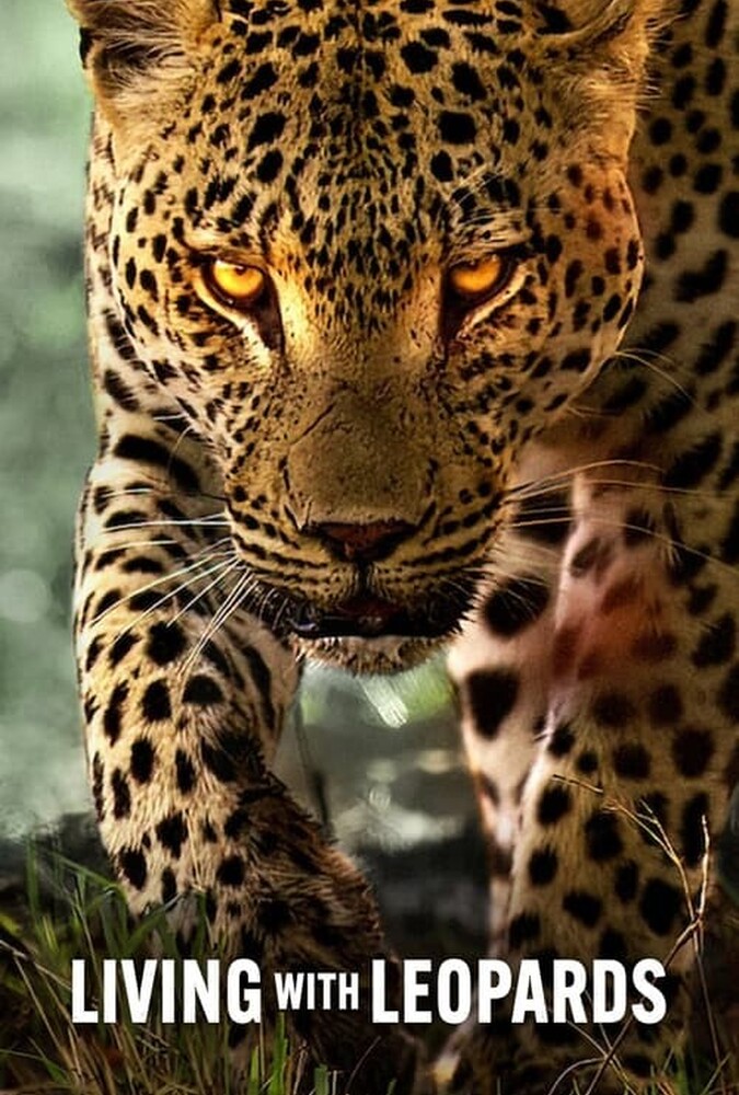 فیلم زیبای زندگی با پلنگ ها Living with Leopards 2024