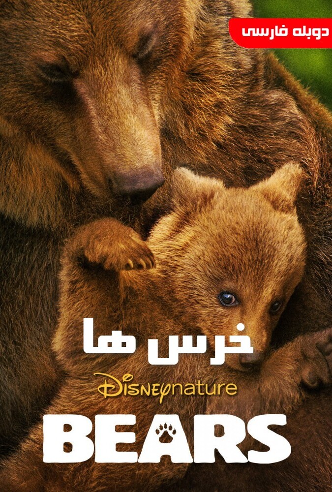 فیلم خرس ها Bears 2014