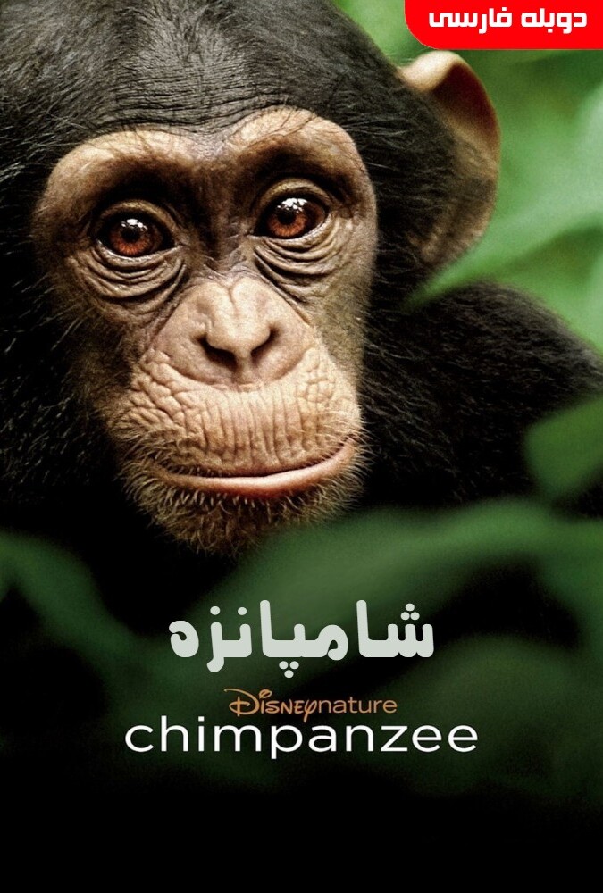 فیلم شامپانزه Chimpanzee 2012