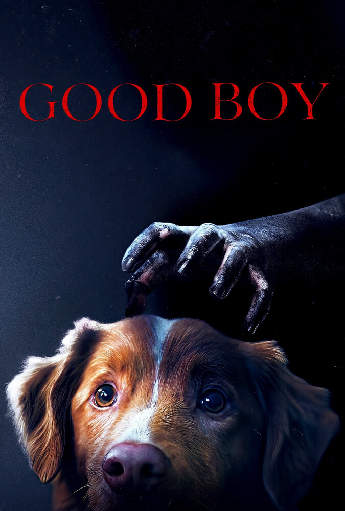 فیلم پسر خوب Good Boy 2025