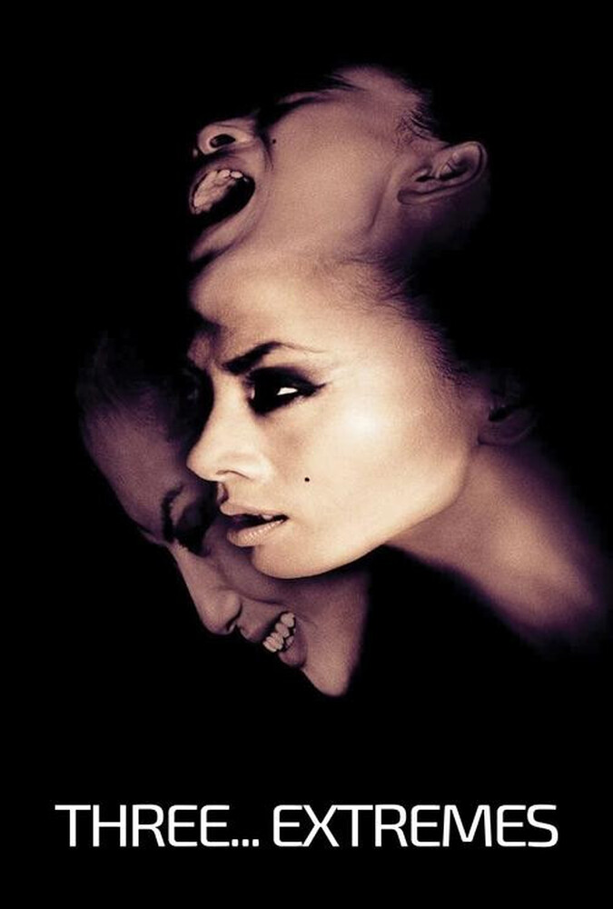 فیلم سه… بینهایت Three… Extremes 2004